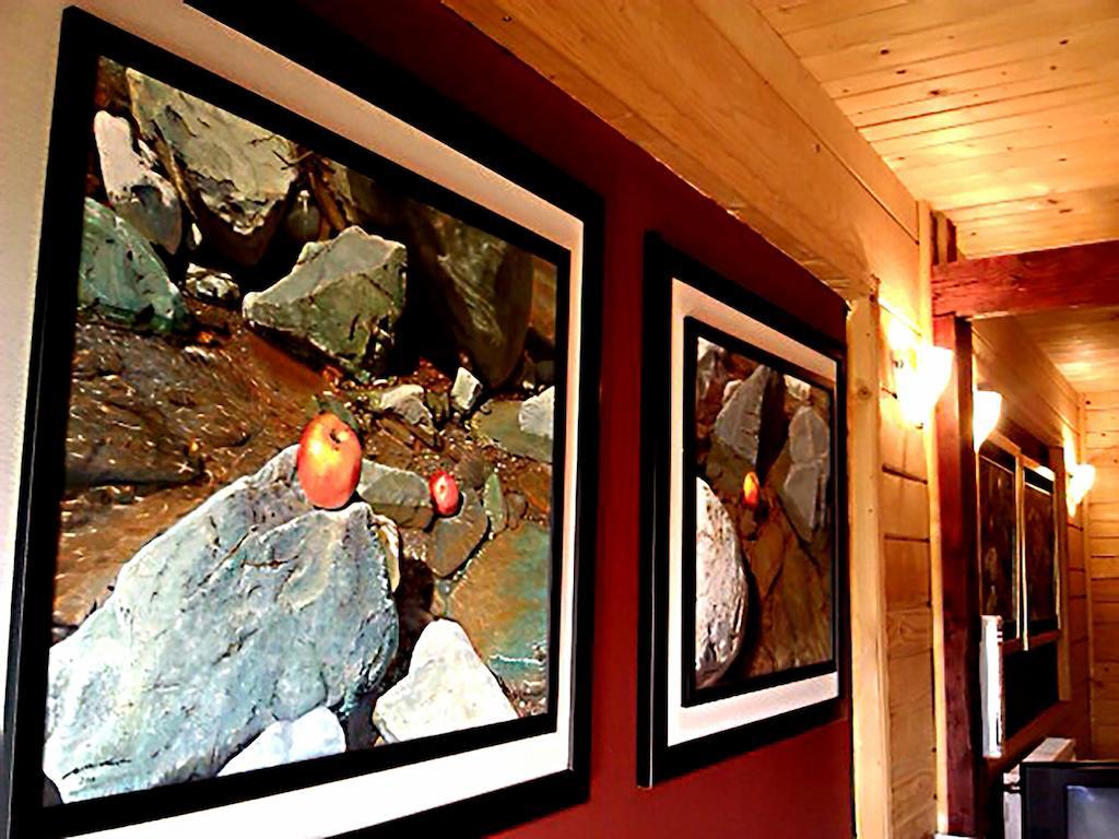 Art Apartments Minic Kolašin Exterior foto